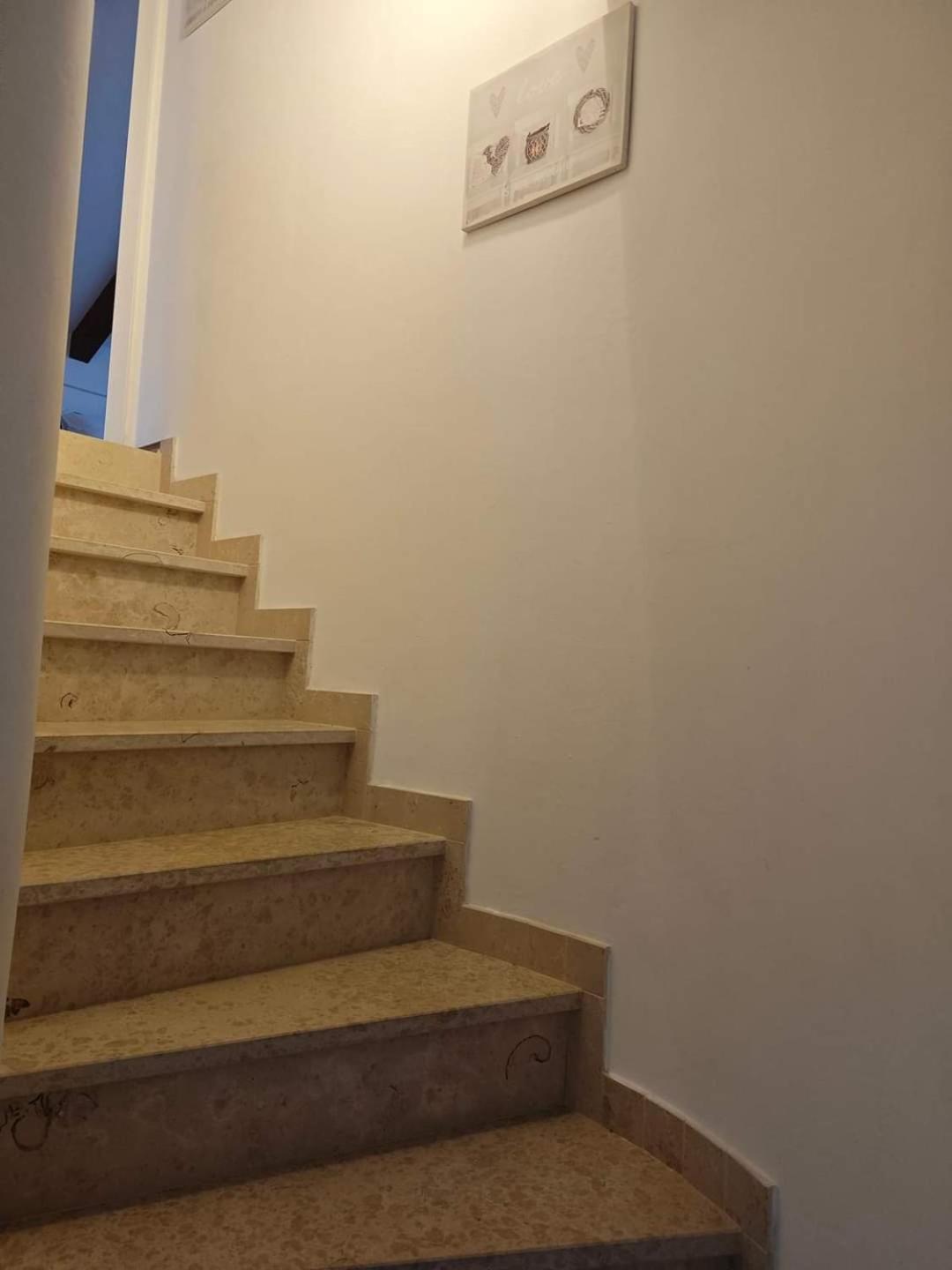 Apartment Arta Водице Екстериор снимка