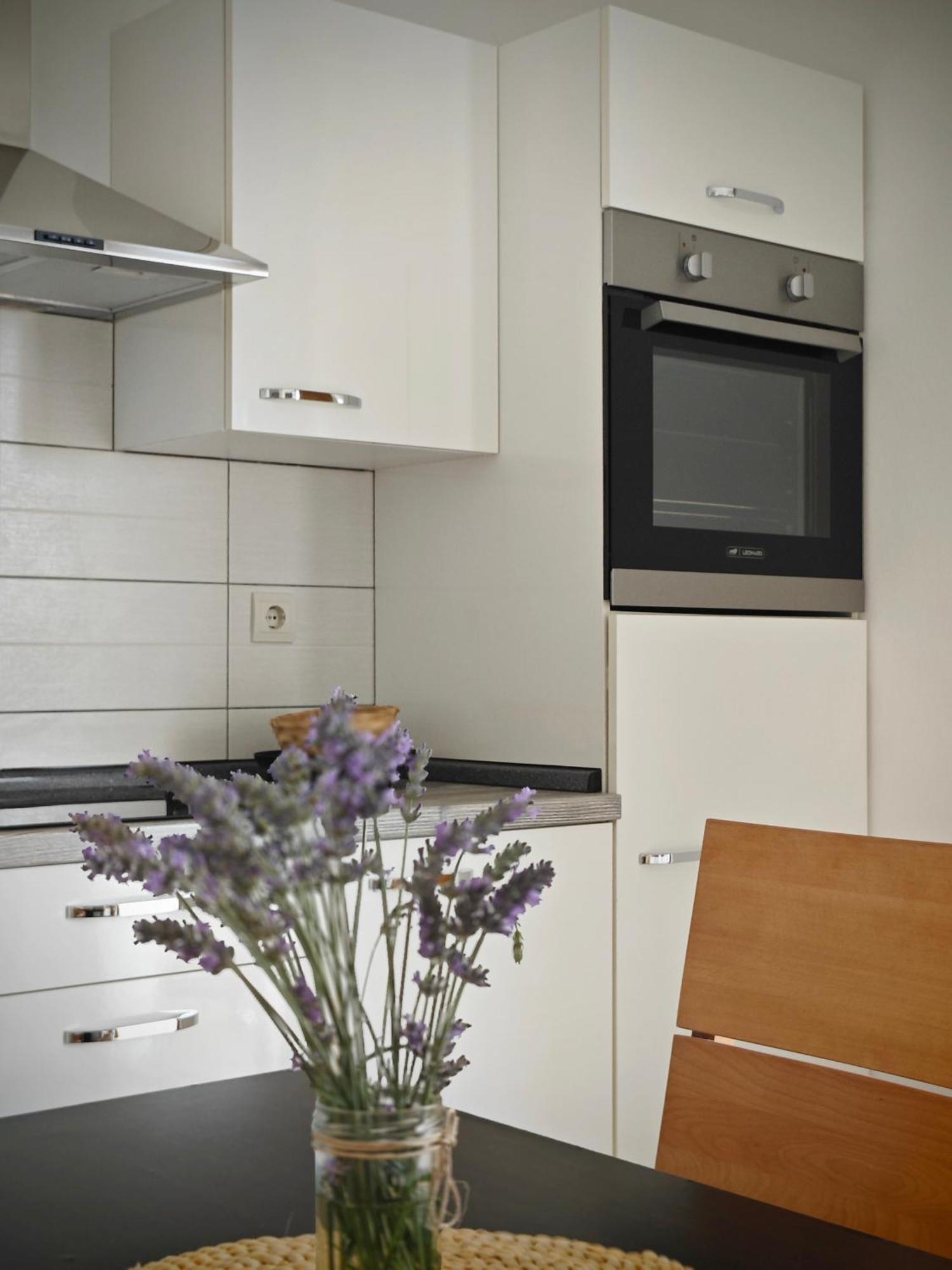 Apartment Arta Водице Екстериор снимка