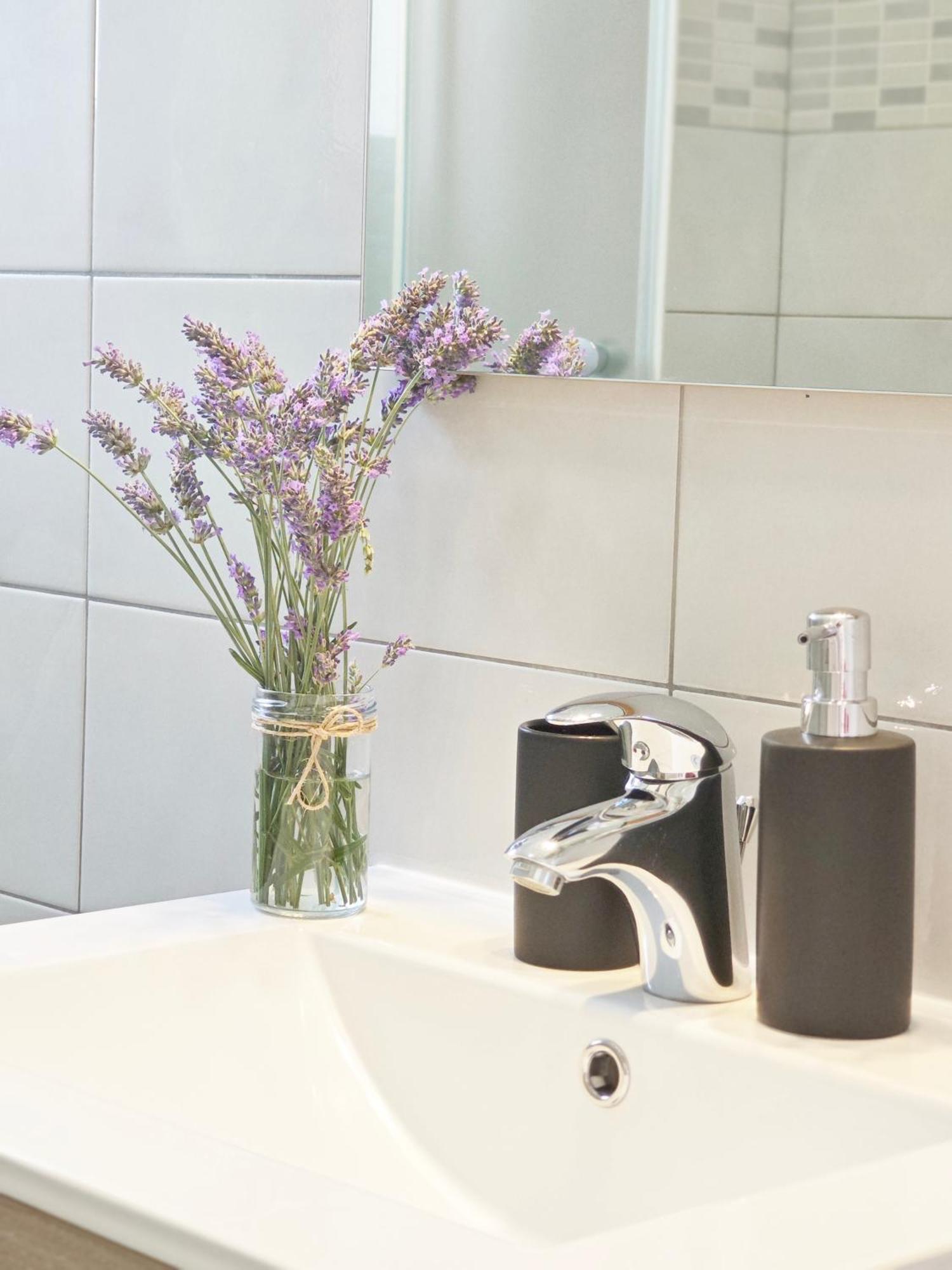 Apartment Arta Водице Екстериор снимка