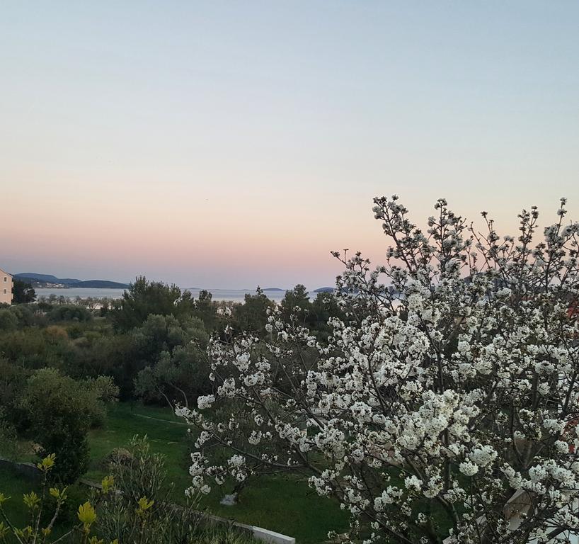 Apartment Arta Водице Екстериор снимка