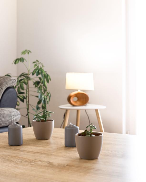 Apartment Arta Водице Екстериор снимка