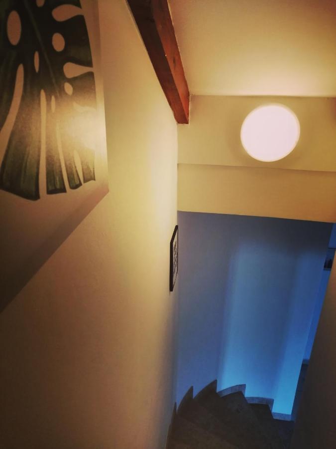 Apartment Arta Водице Екстериор снимка